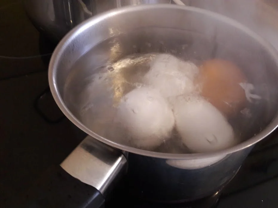 Schwarzwurzel Ragout - Rezept - Bild Nr. 8