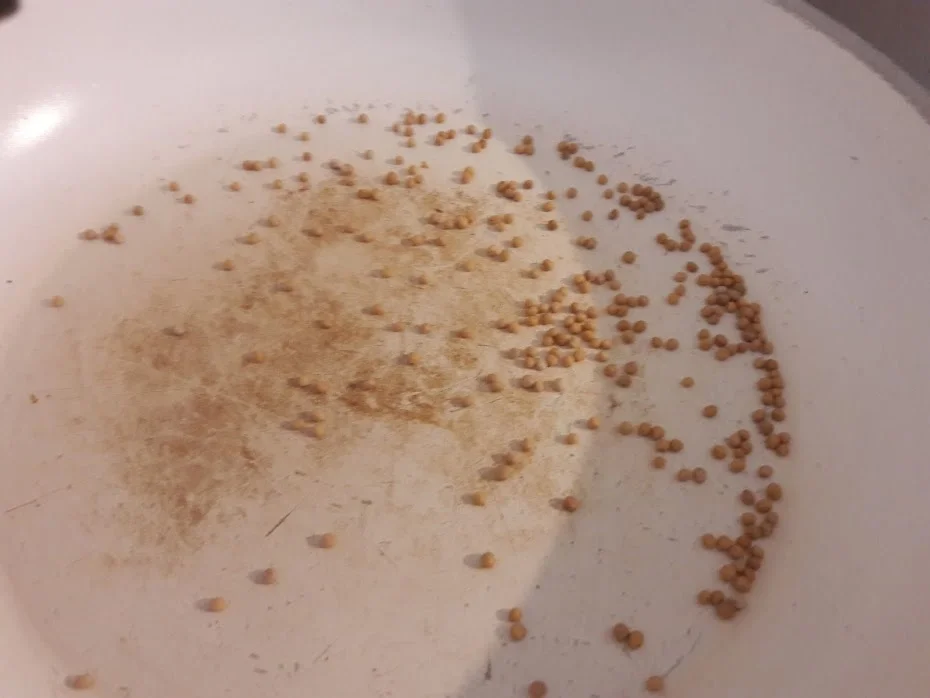 Schwarzwurzel Ragout - Rezept - Bild Nr. 15