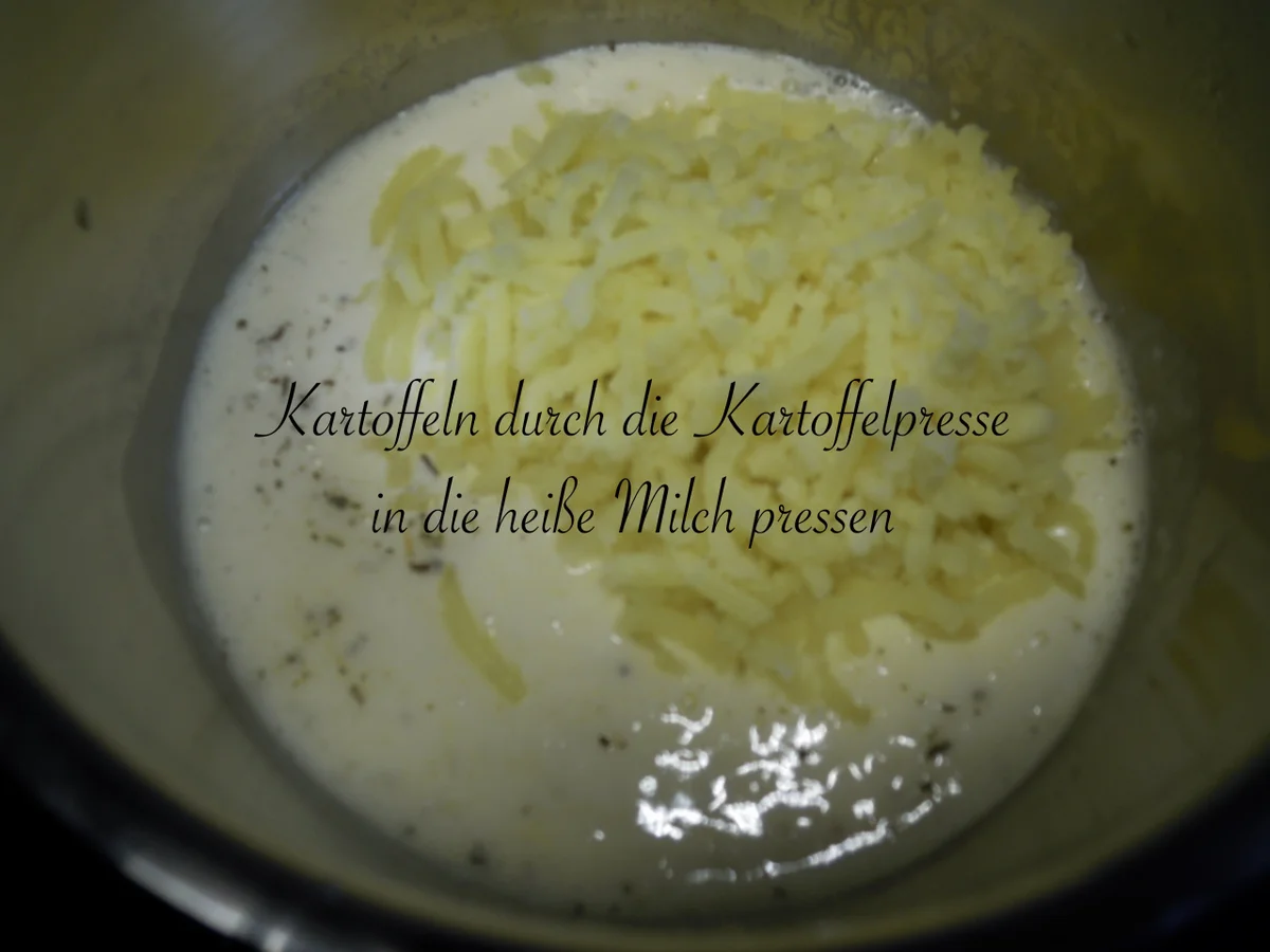 cremiges Rotwein - Haschee serviert in einem Buttermilch - Kartoffelpüree - Ring - Rezept - Bild Nr. 10101