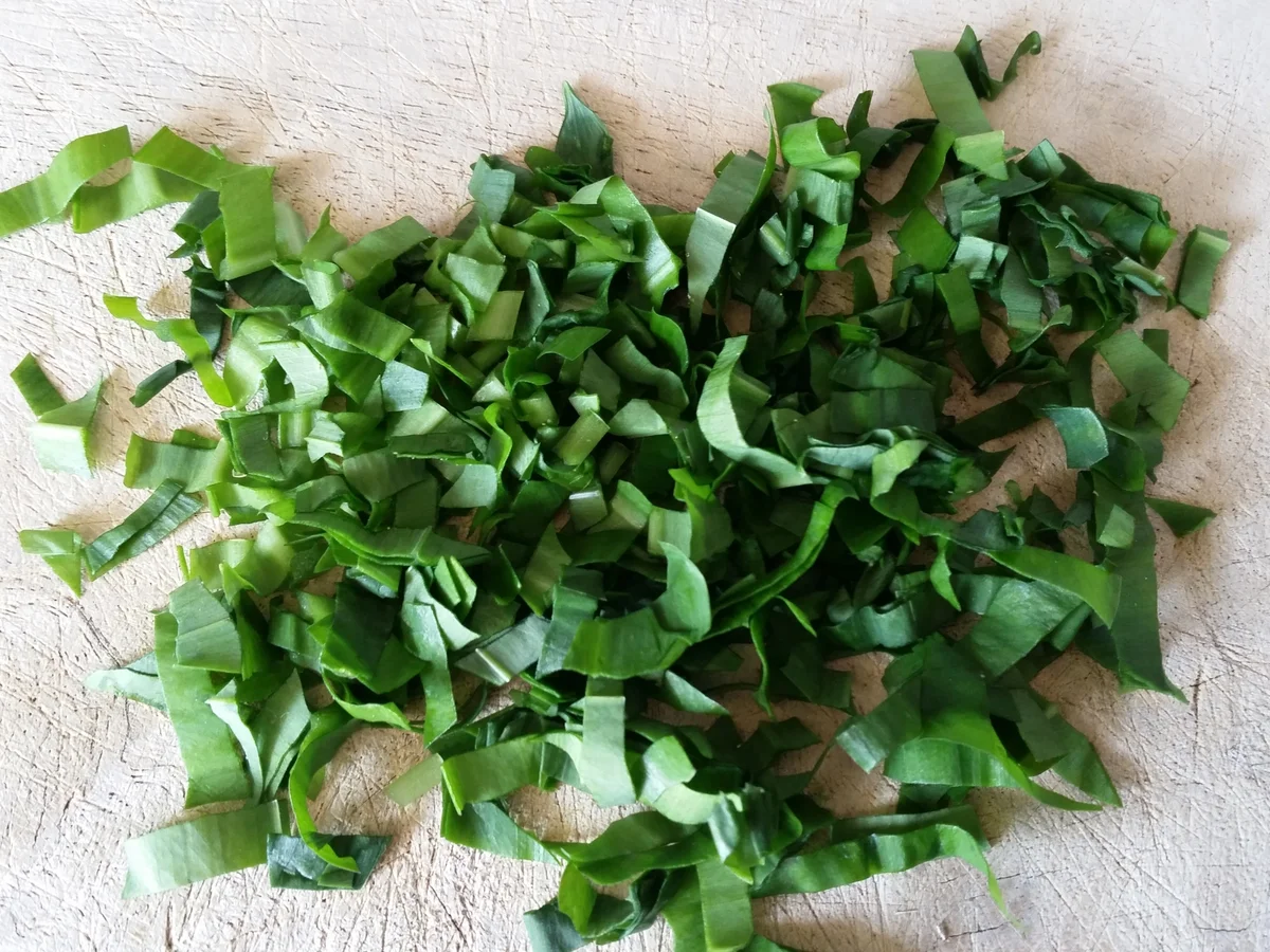 Rezept: Bärlauch - Öl Bild Nr. 4 Bärlauch - Öl - Rezept - Bild Nr. 4