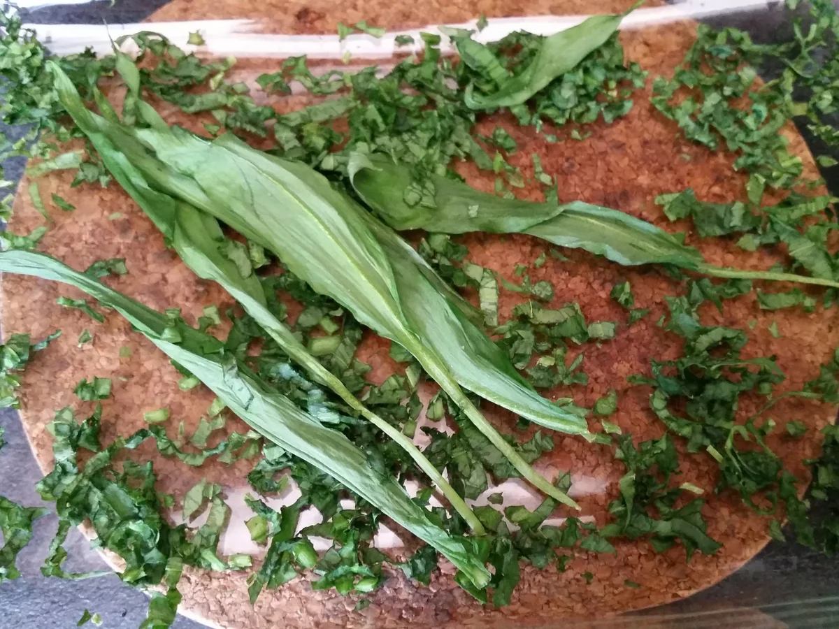 Bärlauch - Gewürzsalz - Rezept - Bild Nr. 4