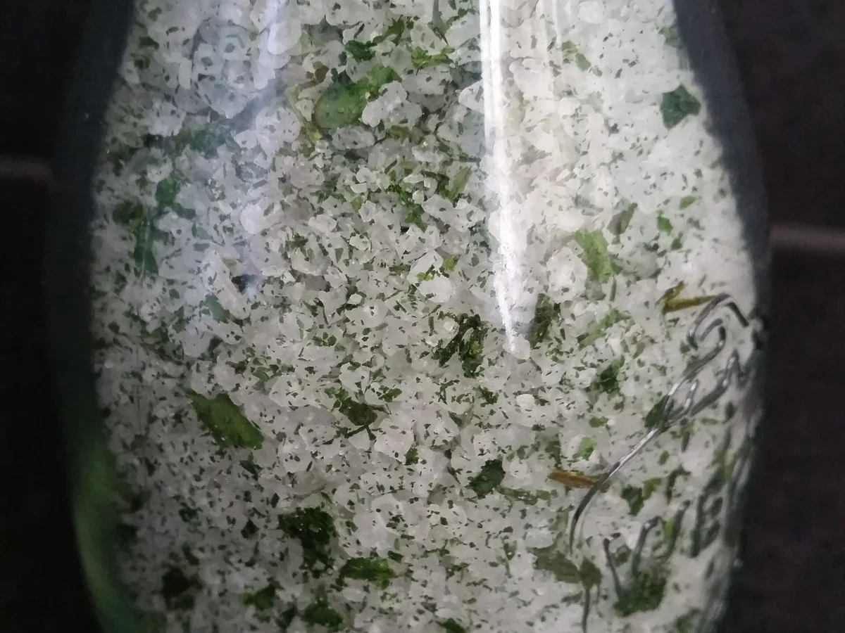 Bärlauch - Gewürzsalz - Rezept - Bild Nr. 7