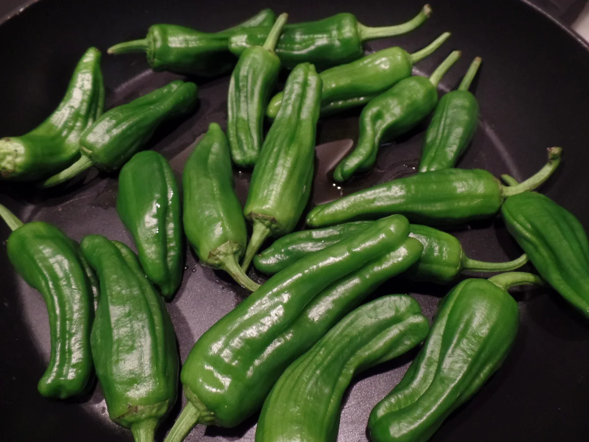 Gemüse-Paella - Rezept - Bild Nr. 10116