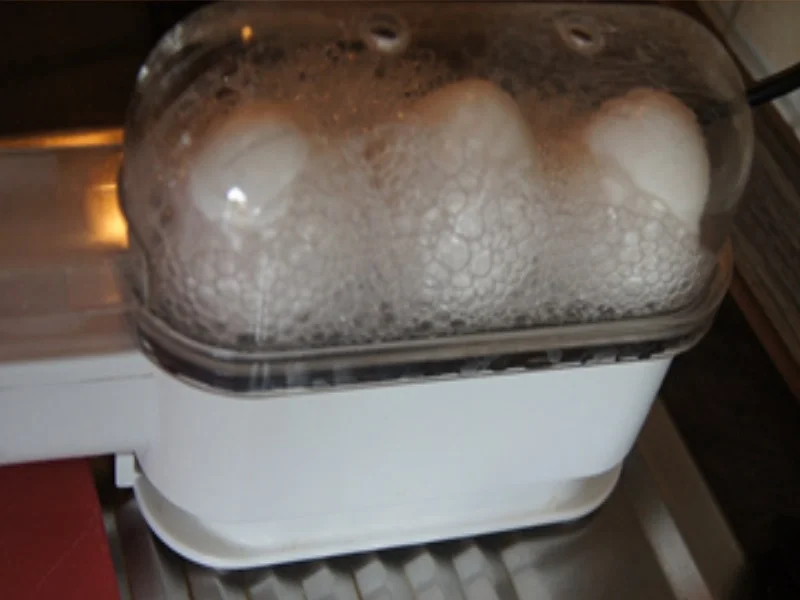 Gekochte Eier mit Senfsauce, Rote Bete Salat und Kartoffelpilzduo - Rezept - Bild Nr. 5