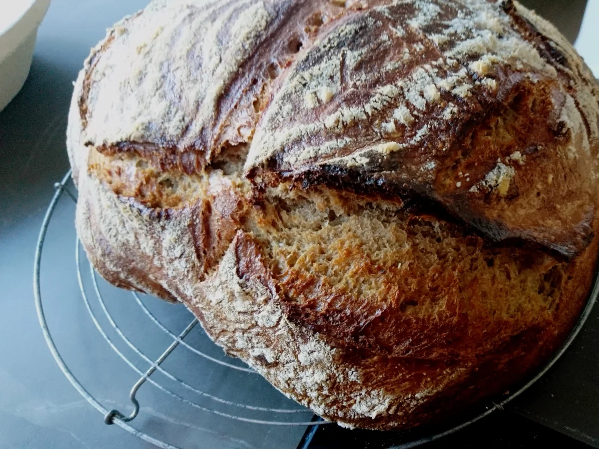 Rezept: Kartoffel-Dinkel Vollkornbrot Bild Nr. 2 Kartoffel-Dinkel Vollkornbrot - Rezept - Bild Nr. 2