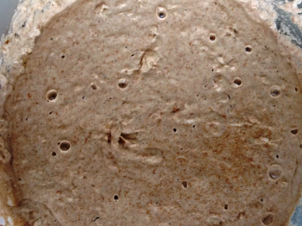 Rezept: Kartoffel-Dinkel Vollkornbrot Bild Nr. 4 Kartoffel-Dinkel Vollkornbrot - Rezept - Bild Nr. 4