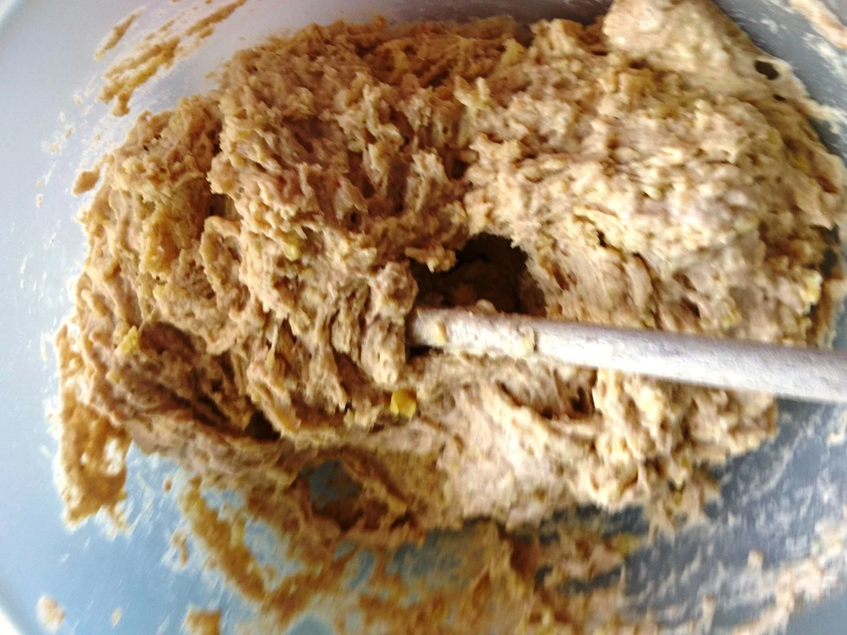 Rezept: Kartoffel-Dinkel Vollkornbrot Bild Nr. 5 Kartoffel-Dinkel Vollkornbrot - Rezept - Bild Nr. 5