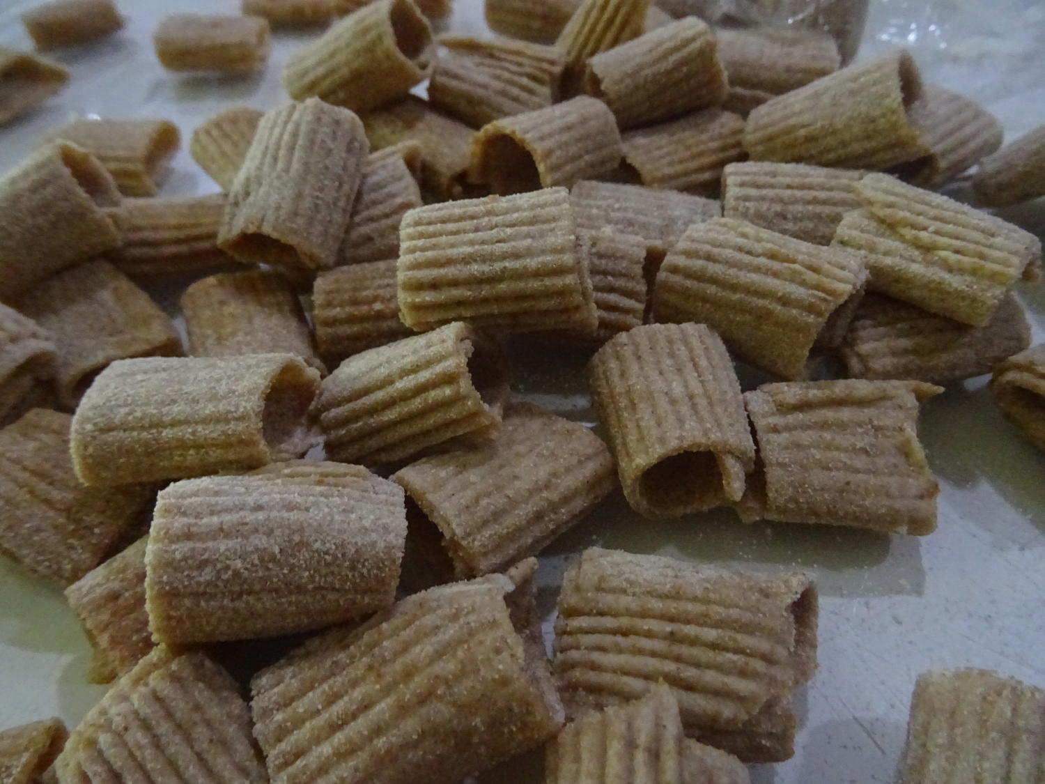 Ditalini Rigati aus Vollkornmehl