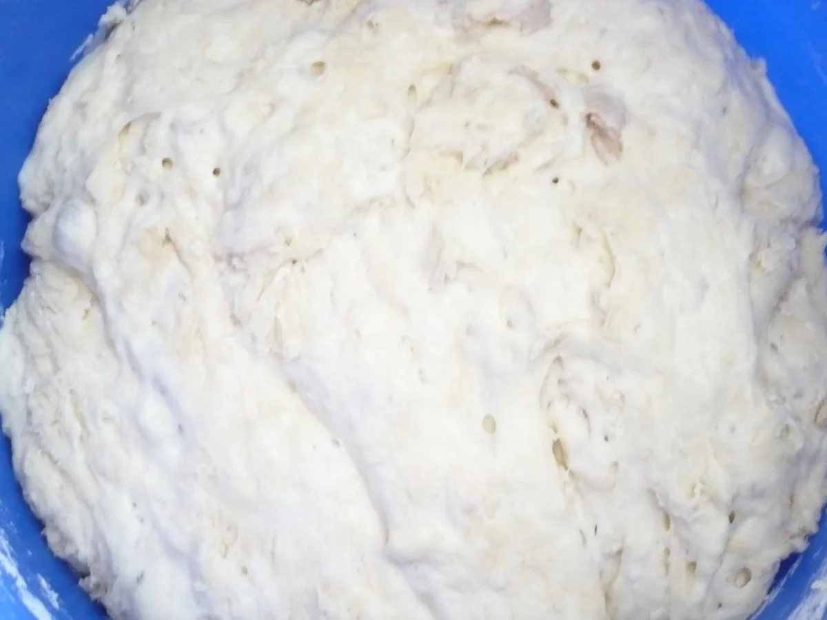 Rezept: Ciabatta - Brot Bild Nr. 3 Ciabatta - Brot - Rezept - Bild Nr. 3