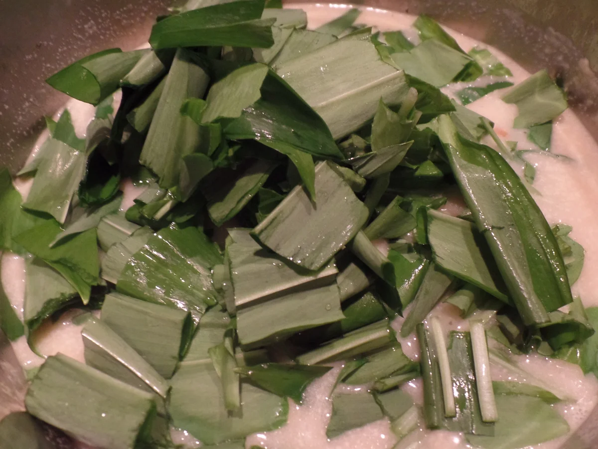 Bärlauchsuppe mit Pinienkernen - Rezept - Bild Nr. 10152