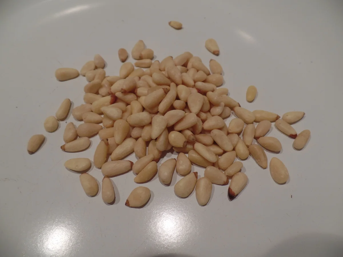 Bärlauchsuppe mit Pinienkernen - Rezept - Bild Nr. 10156