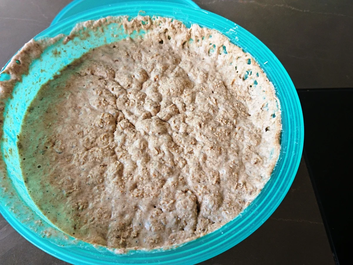 Rezept: Schüttelbrot Südtiroler Art Bild Nr. 6 Schüttelbrot Südtiroler Art - Rezept - Bild Nr. 6