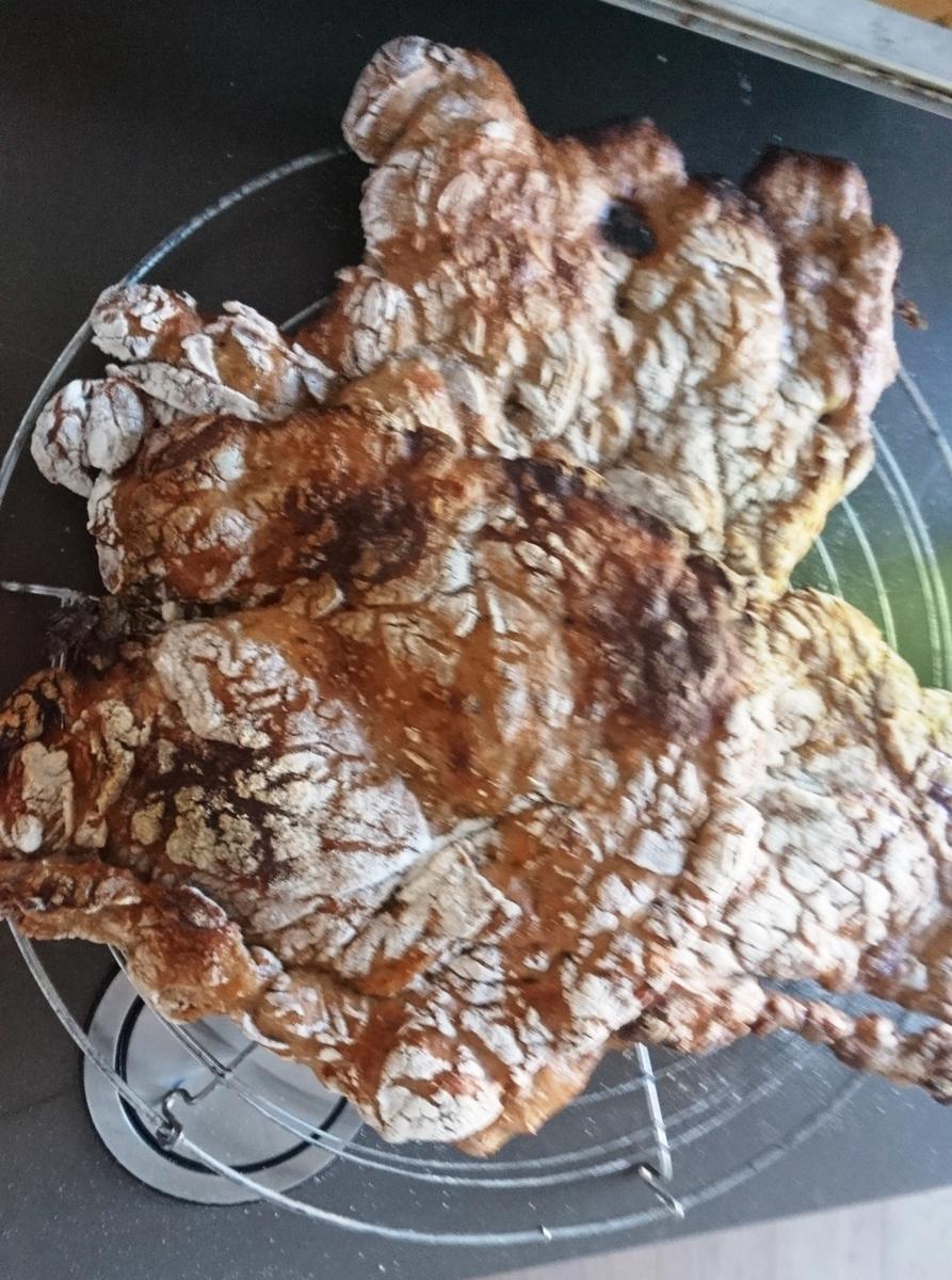 Schüttelbrot Südtiroler Art - Rezept - Bild Nr. 16