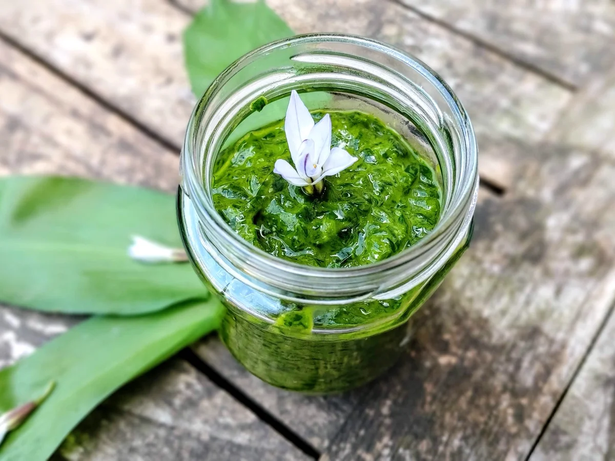 Bärlauch - Pesto - Rezept - Bild Nr. 2