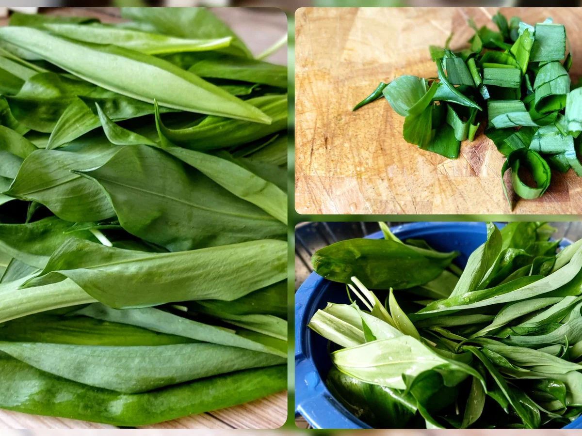 Bärlauch - Pesto - Rezept - Bild Nr. 4