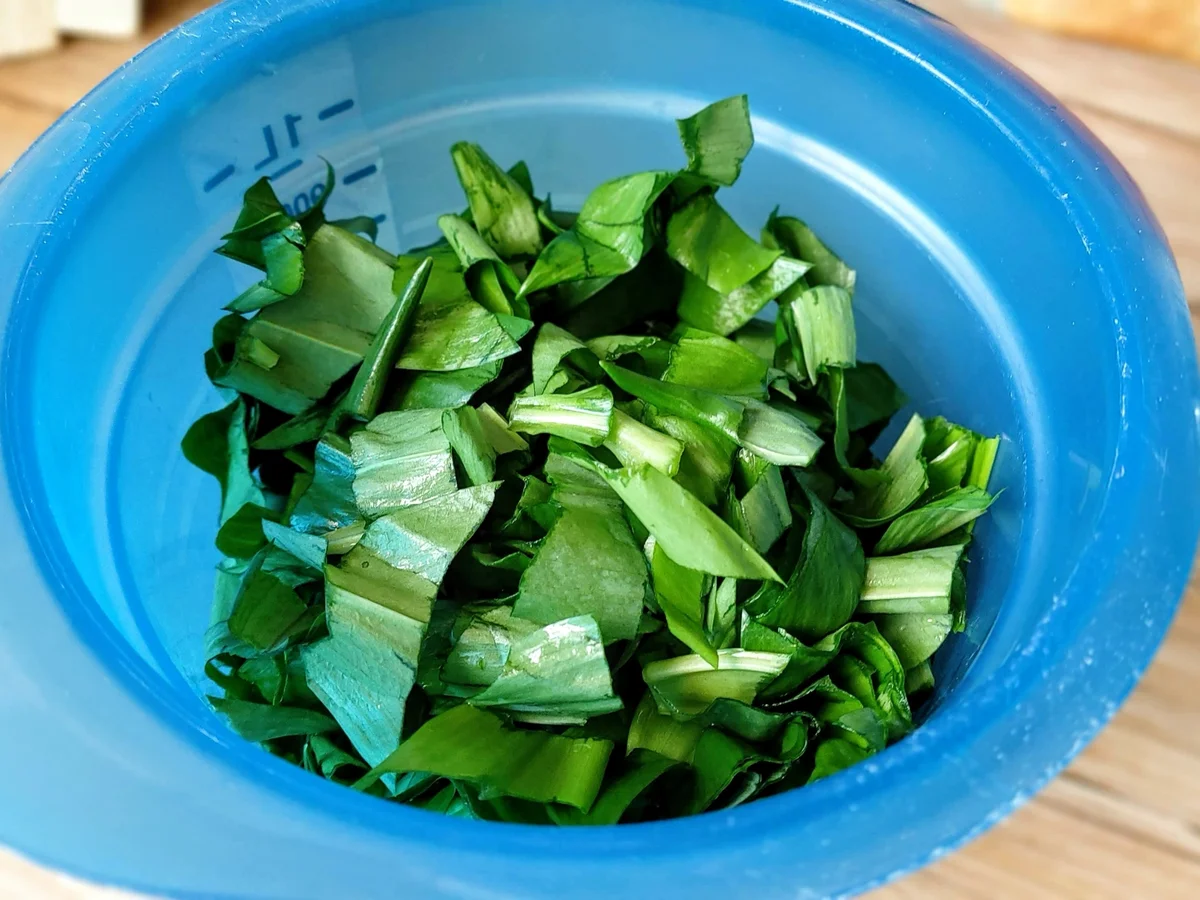 Bärlauch - Pesto - Rezept - Bild Nr. 5