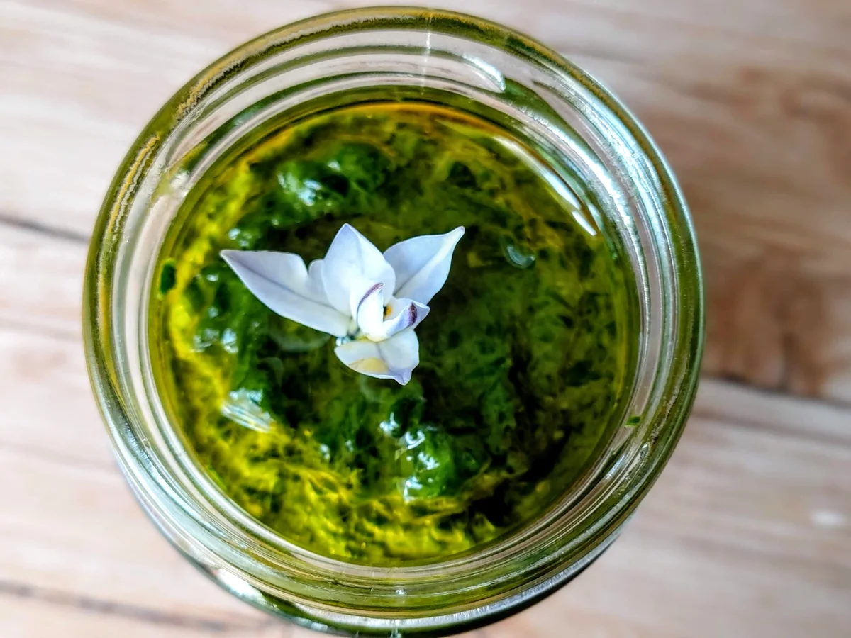 Bärlauch - Pesto - Rezept - Bild Nr. 6