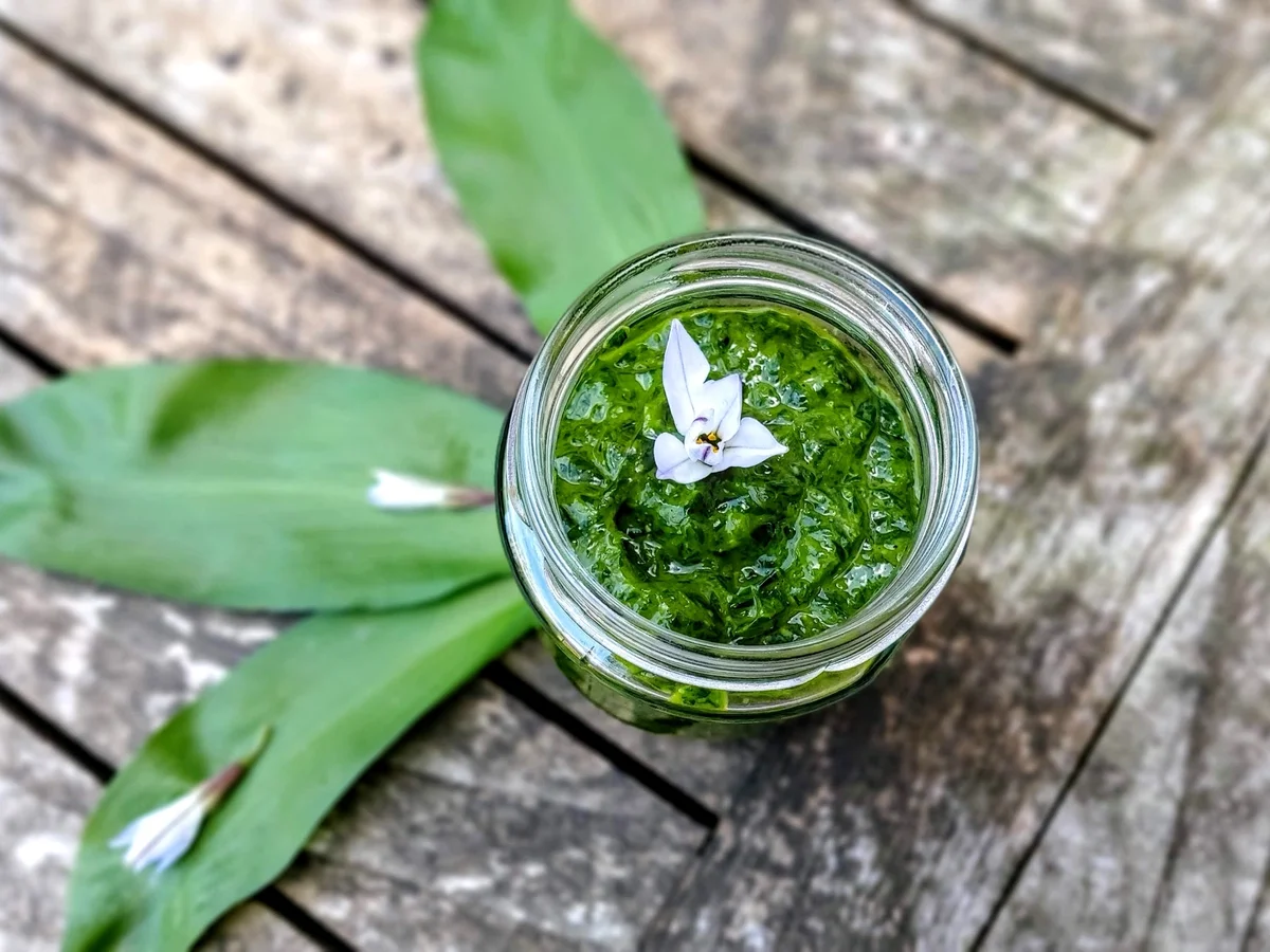 Bärlauch - Pesto - Rezept - Bild Nr. 7
