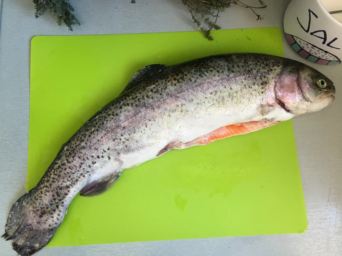 Lachsforelle mit Proseccoschäumchen - Rezept - Bild Nr. 9