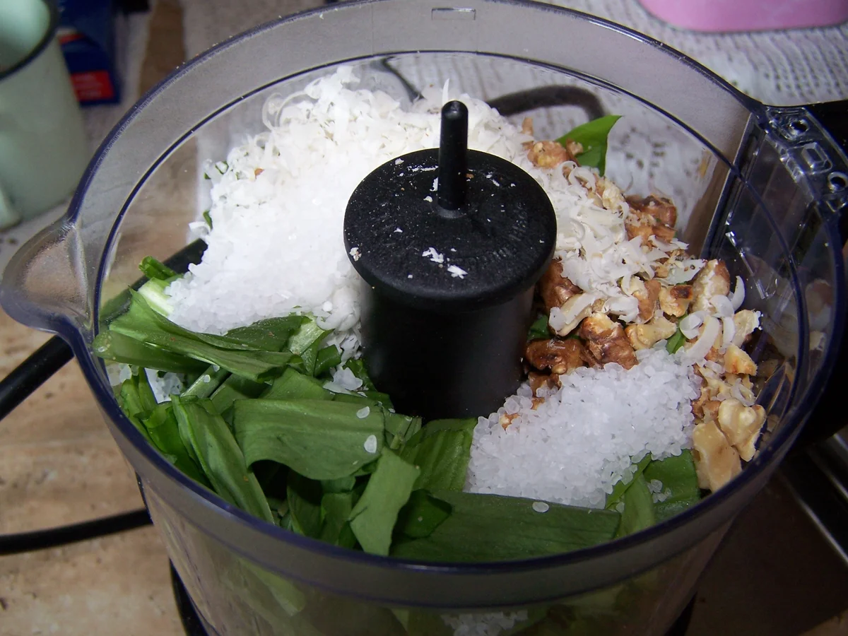 Bärlauch -Walnuss- Pesto - Rezept - Bild Nr. 7