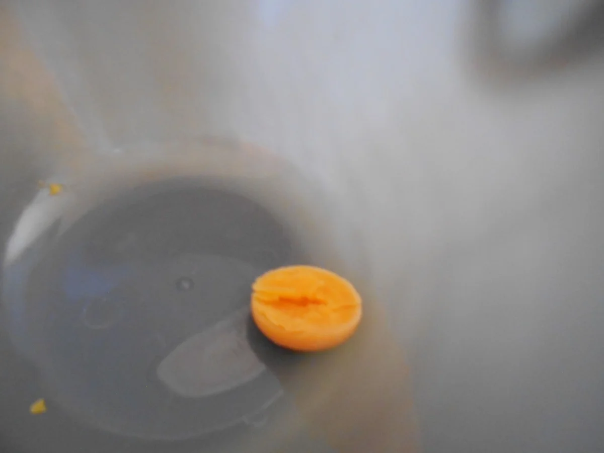 Senftsoße kalt angemacht - Rezept - Bild Nr. 10257