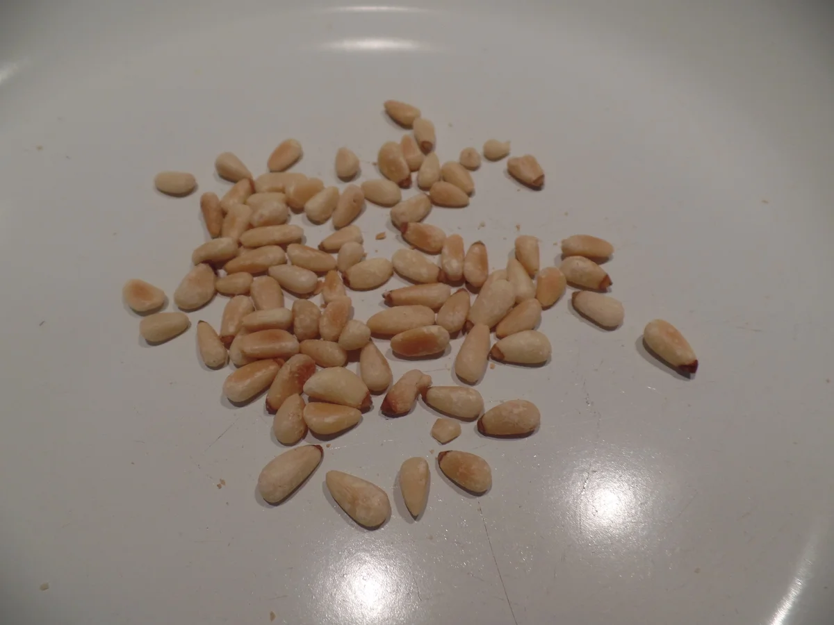 Zucchinipuffer mit Pesto - Rezept - Bild Nr. 10278