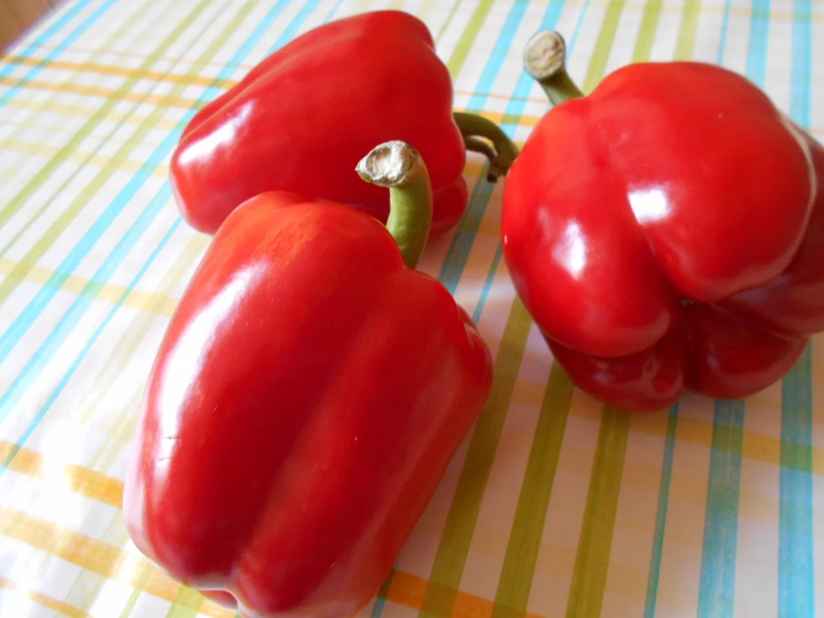 Rinder Gulasch (Summeten) vom Halsstück. - Rezept - Bild Nr. 8