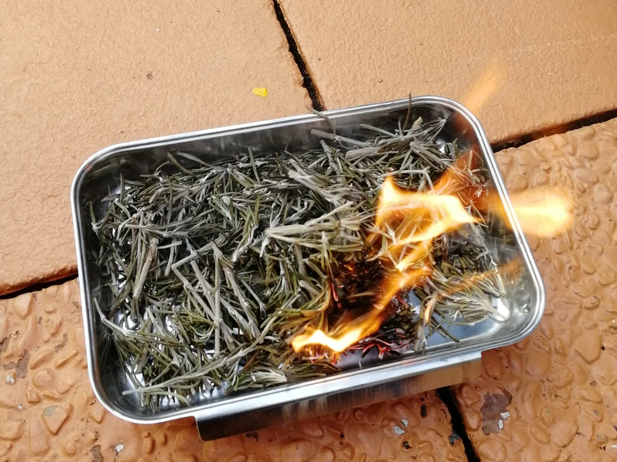 Rezept: Rosmarin Asche Bild Nr. 3 Rosmarin Asche - Rezept - Bild Nr. 3