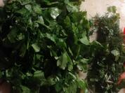 Petersiliensalat - Rezept - Bild Nr. 2