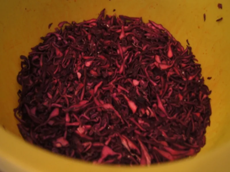 Rotkohl-Blaukraut-Rotkraut - Rezept - Bild Nr. 6