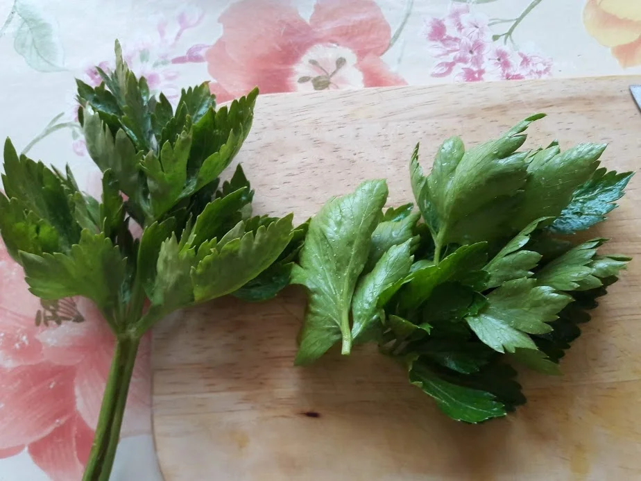 Rezept: Hühnerbrühe - Nudelsuppe Bild Nr. 13 Hühnerbrühe - Nudelsuppe - Rezept - Bild Nr. 13