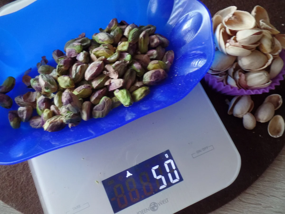 Frozen Macarons - Rezept - Bild Nr. 10317