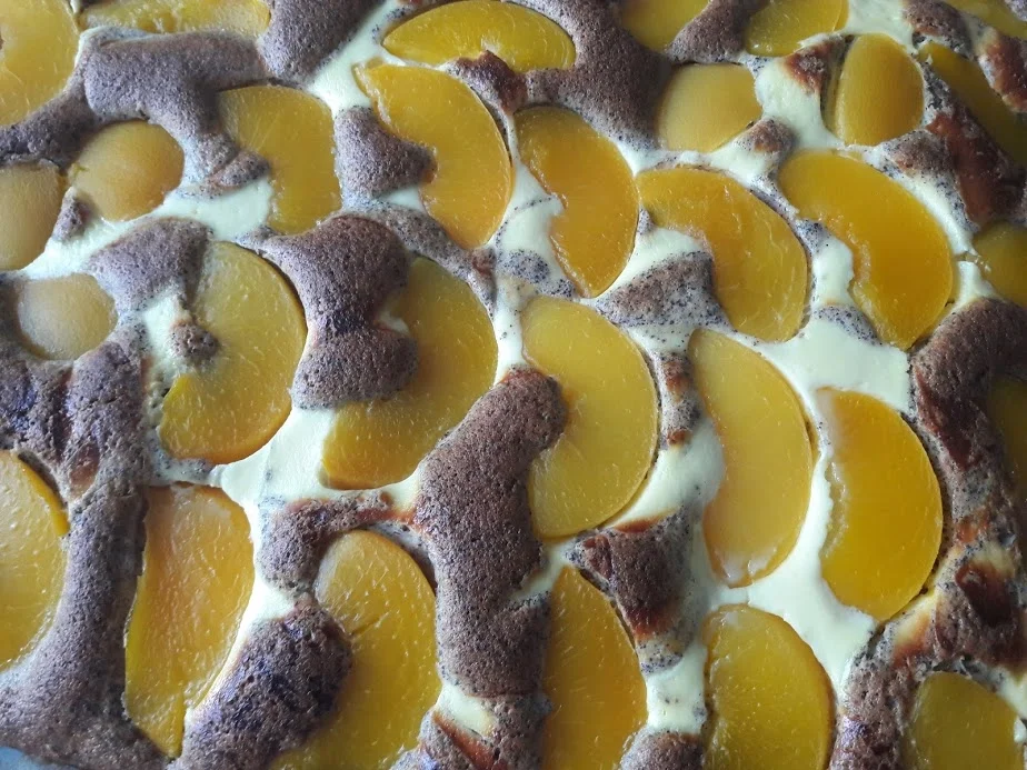 Quarkkuchen - Rezept - Bild Nr. 13