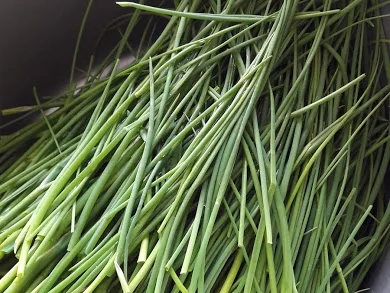 Schnittlauchsalat - Rezept - Bild Nr. 4