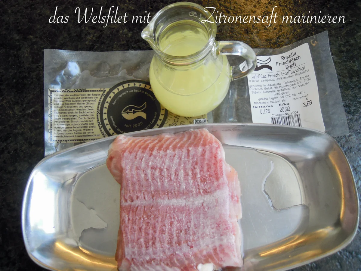 Welsfilet natur gebraten - Rezept - Bild Nr. 11