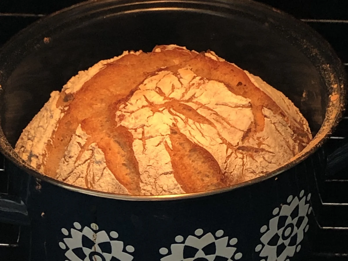 Rezept: MeinSchiff Artisan-Brot Bild Nr. 3 MeinSchiff Artisan-Brot - Rezept - Bild Nr. 3