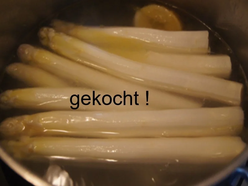 Lachsfilet mit Spargel und Dillsauce - Rezept - Bild Nr. 8