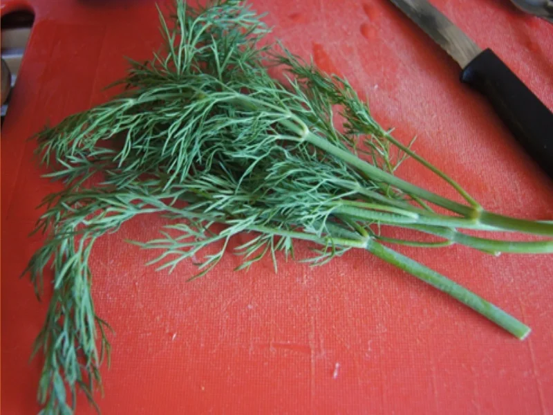 Lachsfilet mit Spargel und Dillsauce - Rezept - Bild Nr. 15