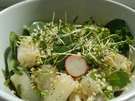 Spargelsalat mit Salatrauke und Radieschen - Rezept - Bild Nr. 2