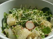 Spargelsalat mit Salatrauke und Radieschen - Rezept - Bild Nr. 2