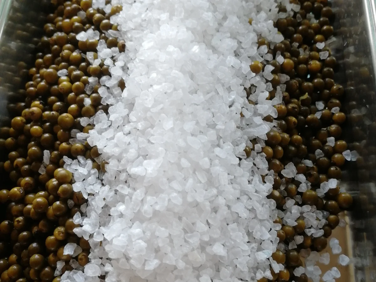 Pfeffer fermentiert - Rezept - Bild Nr. 5