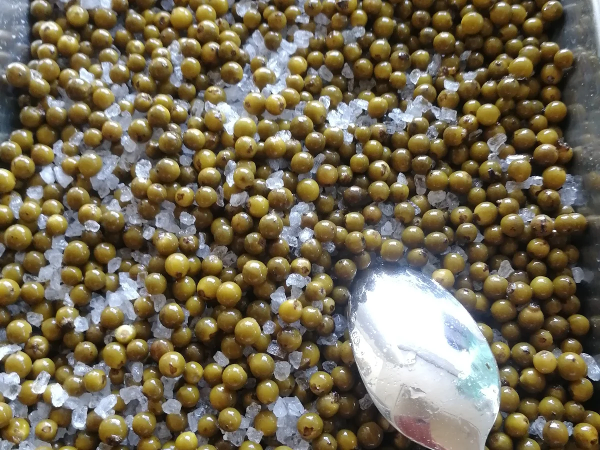 Pfeffer fermentiert - Rezept - Bild Nr. 6