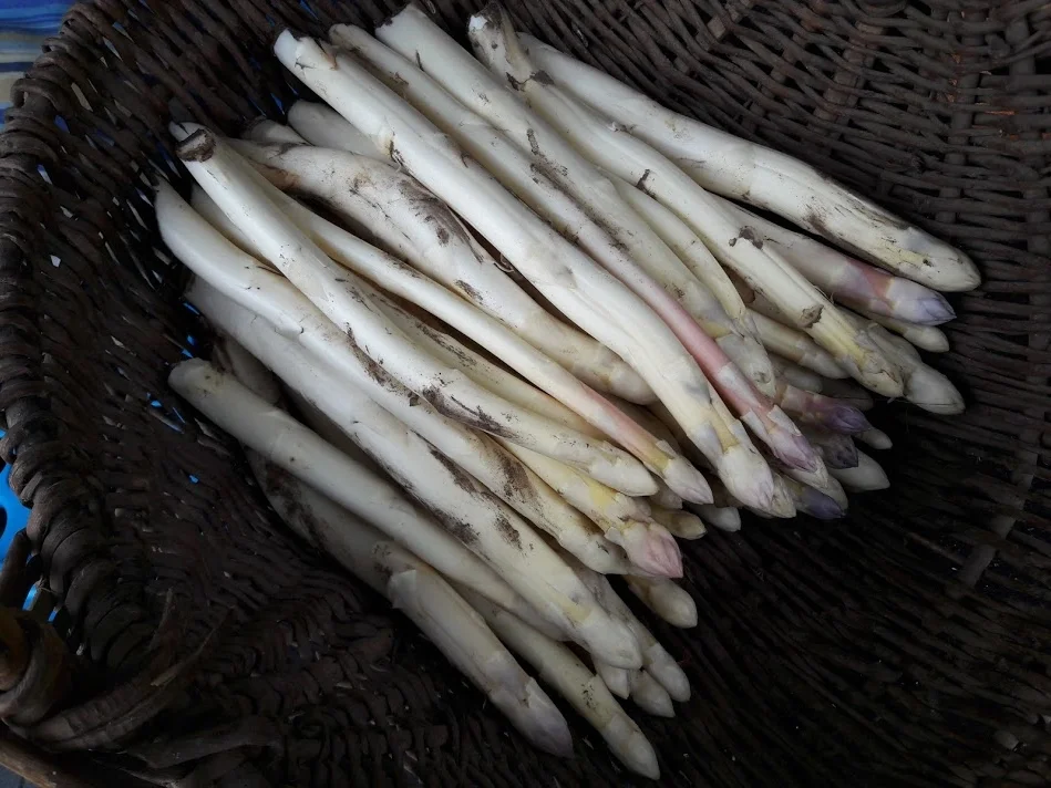 Spargel zu Eier in Schnittlauchsoße - Rezept - Bild Nr. 4