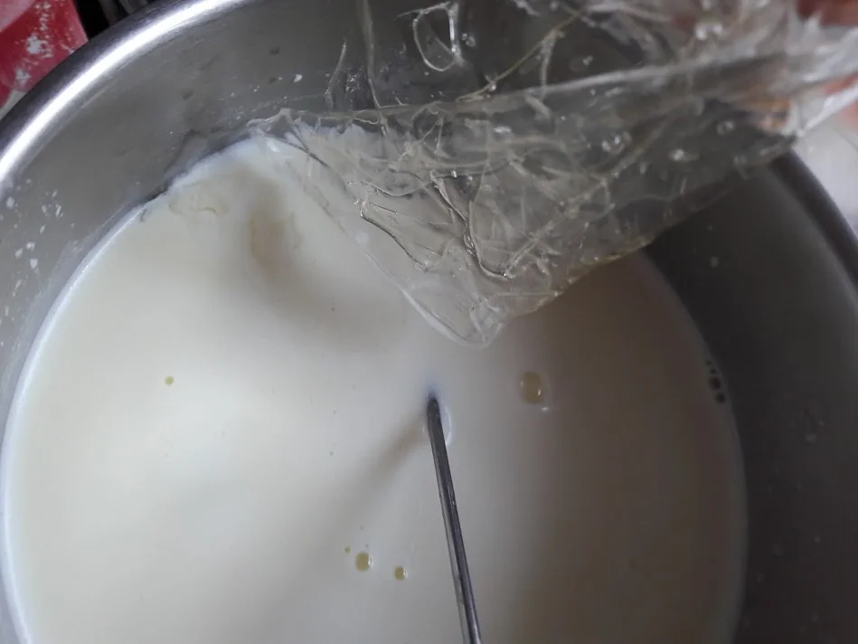 Dessert mit Roter Grütze - Rezept - Bild Nr. 6