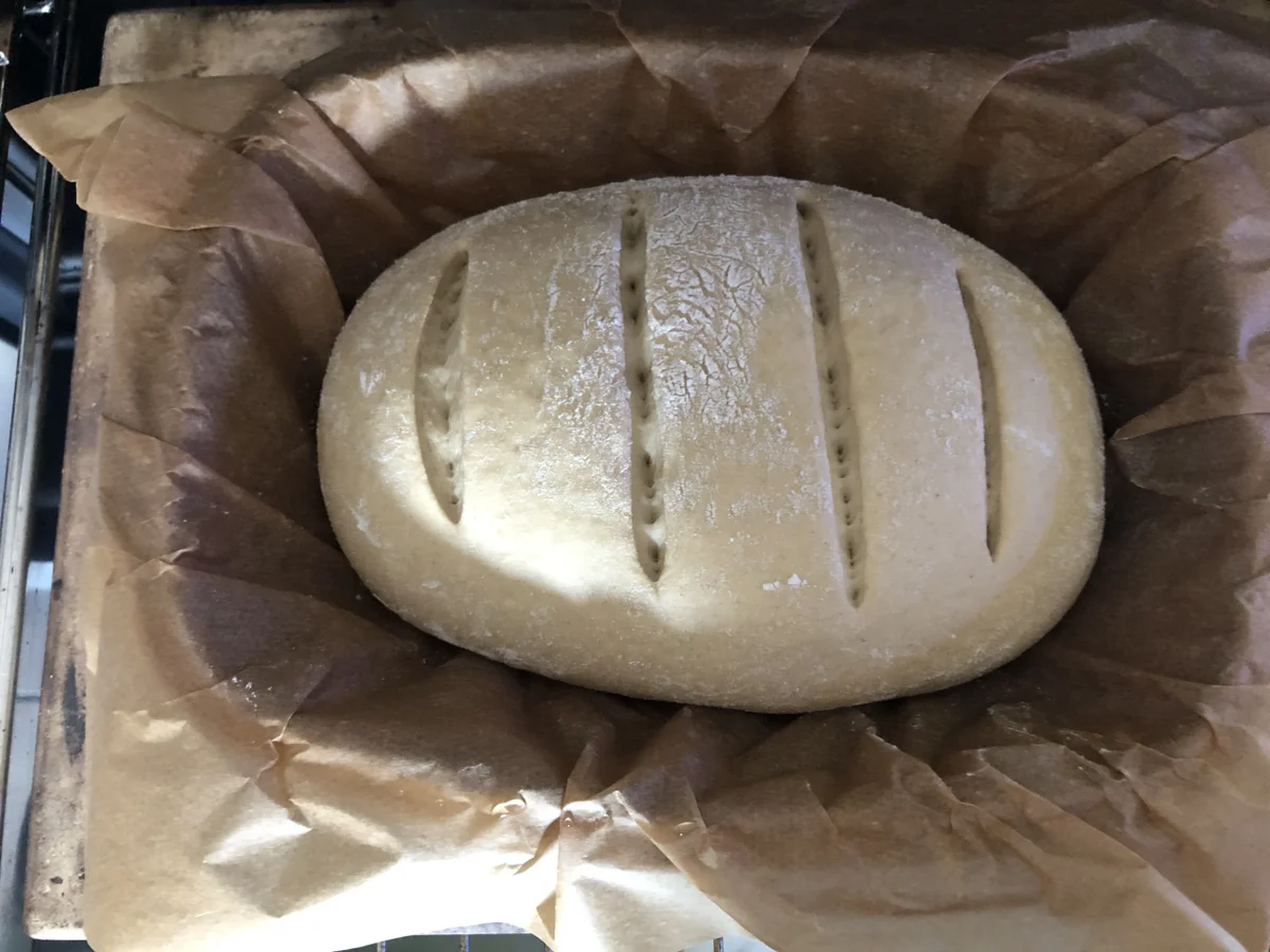 Rezept: Mischbrot aus dem Römertopf Bild Nr. 7 Mischbrot aus dem Römertopf - Rezept - Bild Nr. 7