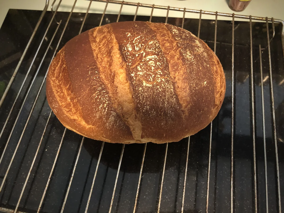 Rezept: Mischbrot aus dem Römertopf Bild Nr. 14 Mischbrot aus dem Römertopf - Rezept - Bild Nr. 14