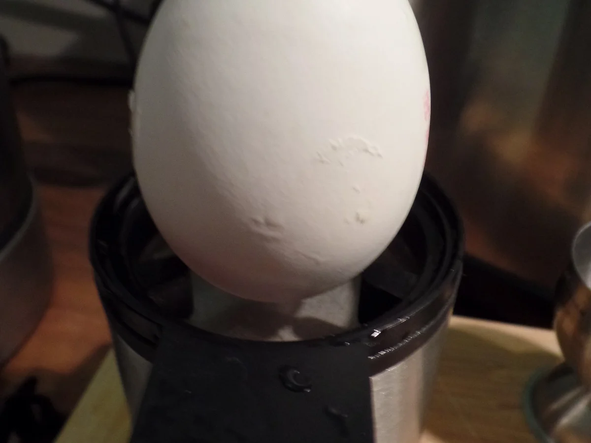 Spargel mit Frischkäsesauce und wachsweichem Ei - Rezept - Bild Nr. 10391