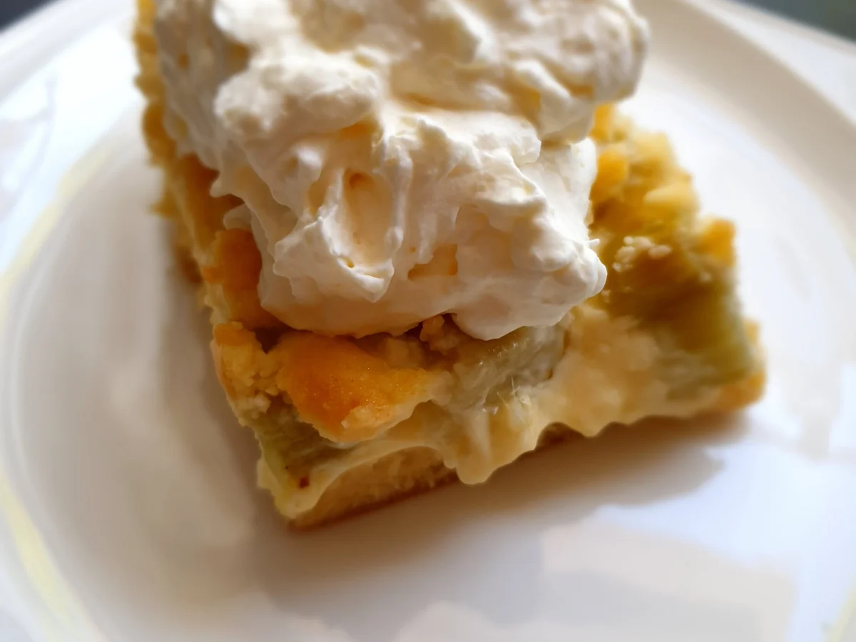 Rezept: Rhabarber Blechkuchen mit Pudding Bild Nr. 10384 Rhabarber Blechkuchen mit Pudding - Rezept - Bild Nr. 10384