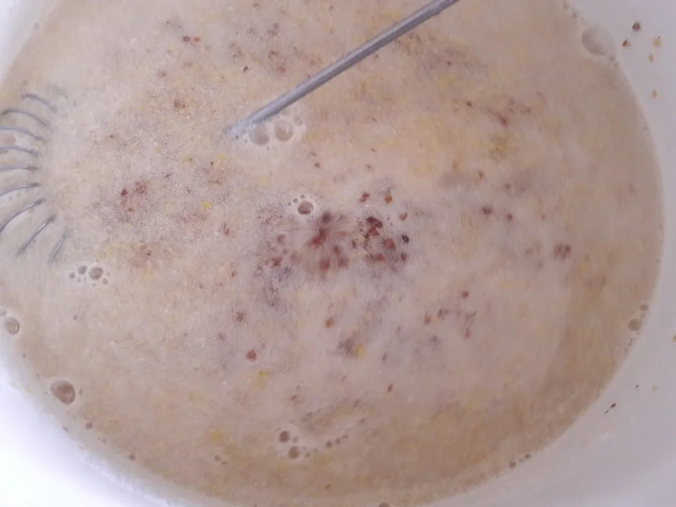 Spargel in Senfsoße - Rezept - Bild Nr. 10