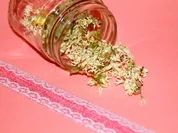 Getrocknete Bärlauchblüten - Rezept - Bild Nr. 2